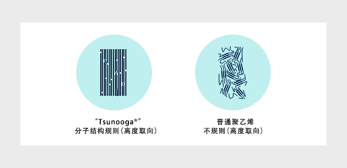 分子结构示意图