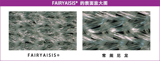 FAIRYAISIS&reg;的表面放大图