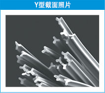 Y型截面照片