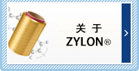 关于ZYLON®
